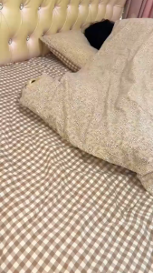 Túi ngủ cho mèo dạng hang – Nhà mèo kín lông cừu ấm– Túi ngủ và ổ nằm cho thú cưng- Nệm ngủ cho mèo chó