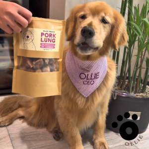 Ollie Treats: Cow Ear