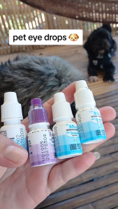Gentamicin Pet Eye Drops Dog Cat Anti Inflammation and Sterilization Pet Eye Infection Treatment 5ML