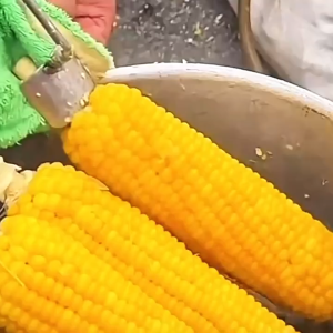 ส่งจากกทม!เครื่องแกะเมล็ดข้าวโพดสแตนเลส ที่ขูดเมล็ดข้าวโพดหวาน อุปกรณ์ในครัว