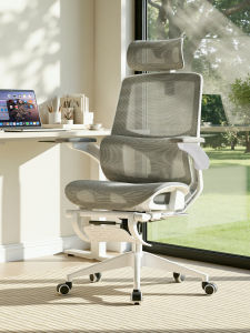 Ergonomic Home Office Chair