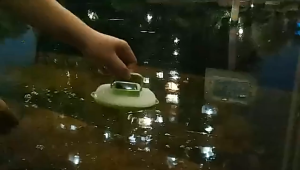 LightEZ Lampu Kemah Portable Solar 600 mAh tenaga surya Camping LED Tenda Emergency