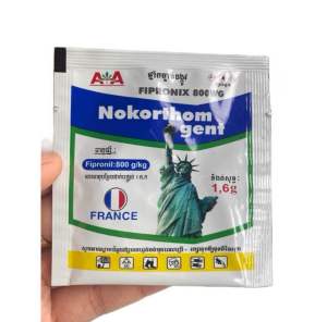 sâu kiến gián ve Bọ Nokorthom Gent