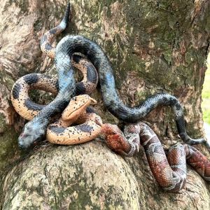 Fake realistic snake realistic and terrifying rubber prank Halloween party decoration model