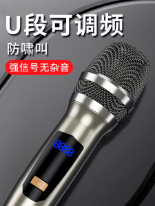 Wireless Microphone for Singing at Home And Outdoor Professional Speaker Universal KTV Sound System Handheld Family Special Use