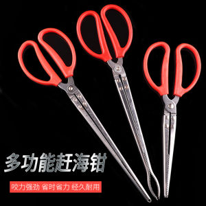 Sea Catching Tools Childrens Crab Catching Pliers Ricefield Eel Stainless Steel Non-Slip Clip Seaside Huangshan Lobster Special Equipment