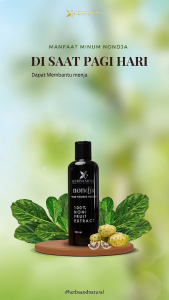 NONDJA HERBAMOUR SARI BUAH MENGKUDU MENURUNKAN DARAH TINGGI KOLESTEROL DAN DIABETES