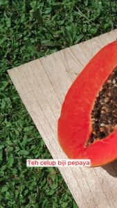 COD Teh Biji Pepaya isi 10 Tea Bag - Teh Celup Biji Pepaya Untuk Obat