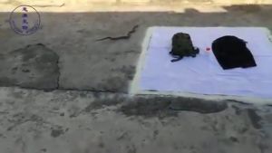 500g Serbuk Kuning Belerang Halau Ular Sulfur Belelang优质硫黄粉驱蛇粉Sulphur PowderSnake Repellent