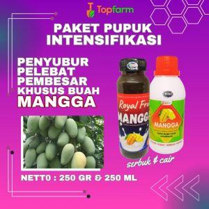 Pupuk Booster Mangga / Pupuk Booster Tanaman Buah Mangga / Pupuk Booster Pelebat Buah Mangga / Booster Pupuk Cangkok Mangga