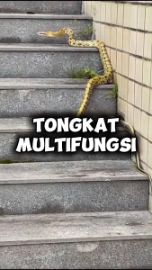 Tongkat Penjepit Lipat Serbaguna Multifungsi Untuk Sampah Penangkap Ular Belut Kepiting Yuyu Hook Snack Tongs 200cm 120cm Pegas Stainless Anti Karat