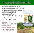 ยูเรียน้ำสูตรเข้มข้น สูตรอินทรีย์ชีวภาพ ไม่มีสารเคมี ไม่มีสารพิษ ไม่ใช่ปุ๋ยเคมี ขนาด 1 ลิตร. 