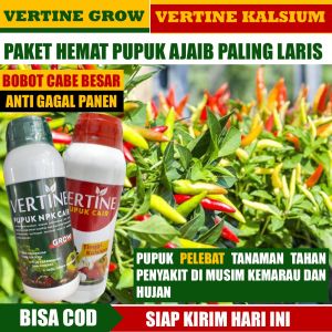 (1Paket 2 Botol) OBAT PELEBAT CABAI LEBIH BANYAK & BESAR di Musim Hujan dan Kemarau - 1 Vertine Kalsium Pupuk Kalsium Cabe/Cabai 1 Vertine Grow Pupuk Perekat Pupuk Musim Hujan Obat Lengkap Lanjutan Pelebat Cabe/Cabai Obat Pelebat Cabe/Cabai Awal Tanam