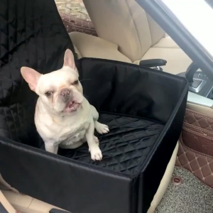 2 in 1 Pet Car Seat Cover Pet Car Hammock Waterproof Cat Dog Carrier Protector for Travel