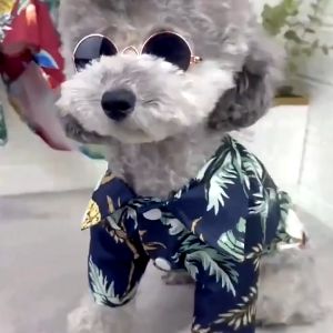 Áo Sơ Mi Phong Cách Hawaii Cho Thú Cưng