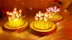 Đèn Ngủ Hoa Tulip Nhiều Màu Sắc Nguyên Liệu Tự Làm Đèn Ngủ Hoa Tulip Thủ Công Đèn Hoa Để Bàn Đồ Decor Trang Trí
