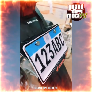 Stainless Back Plate Protector for Motorcycles【24H Ship】COD(Only Backplate Protector)