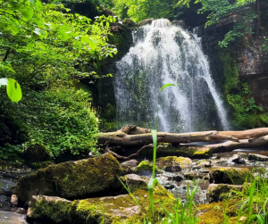 TABON TABON for Kinilaw Food