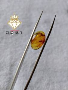 รอบที่-2 ก-28 อำพันพม่าแบบมีแมลง อำพันแท้ 100%