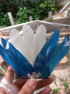 Bando tari bando bulu biru putih