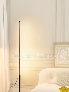 SG Minimalist LED Floor Lamp | Eye Care Standing Lamp for Living Room Bedroom Corner Ambient Lighting