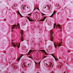 Party Dinner Napkin Serviette Disposable Paper Tissues- Colour Roses Red Pink Purple Flowers Floral Print [NSP083]