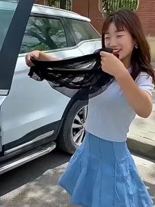 Car Sunshade Insect-Proof Mesh Window Screen