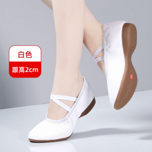 White Dance Shoes Womens Adult Performance Dancing Comfortable Soft Bottom Medium High Heel Outdoor New Square Dance Shoes