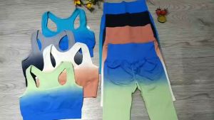 Bộ đồ tập gym yoga aerobic thể thao nữ bao gồm áo bra kèm mút quần đùi ngố chun mông chất liệu thun dệt kim BINSPORTS BL033