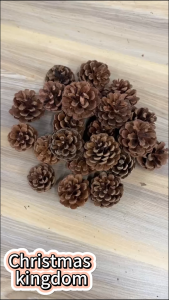 10Pcs Christmas Natural Pine Cones Bulk Rustic Snow Pinecones with String Pine Cone Pendant Winter Holiday Hanging Ornament for Xmas Tree Gift Tag Party Decoration 1.6-2 Inch