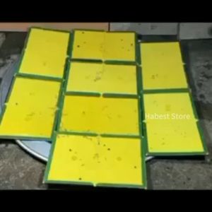 [Box] Rats Glue Traps Professional Strength Mouse Trap