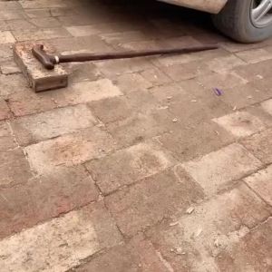 Gậy Gỗ Hình Cánh Gà Tay Vịn Đầu Rồng Chạm Khắc Chống Trượt Nhẹ Gậy Đi Bộ Đường Dài Gậy Văn Minh Gậy Gỗ Đặc Cho Người Già