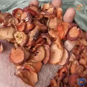 Táo mèo sấy khô Tây Bắc 1kg táo mèo khô ngâm rượu loại 1 khô thơm chuẩn táo rừng. Quả Sơn tra Sơn trà khô thái lát