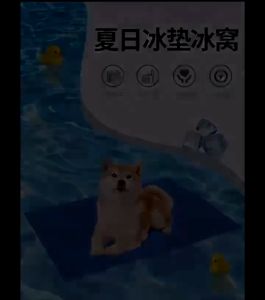 Pet Dog Self Cooling Mat Pad: Ice Gel Waterproof Dog Bed Sleeping Mat Pad for Kennel Crate & Beds (Blue)