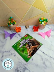 Apes and Babies (An Animal Family)