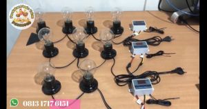 Paket Siap Pakai Termostat W3001 Kap.100 Sampai 120 Butir Mesin Tetas Full Otomatis Penetas Otomatis