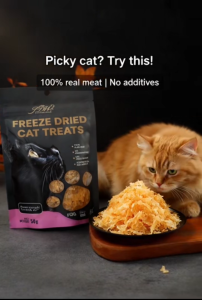 Cat Treats Freeze Dried | Chicken Shrimp Cat Snack | High Protein Healthy Cat Treat | 50g