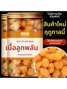 Premium Seedless Longan Dried Fruit 500g