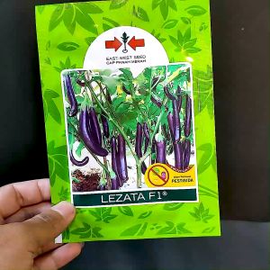 BENIH TERONG UNGU - LEZATA F1