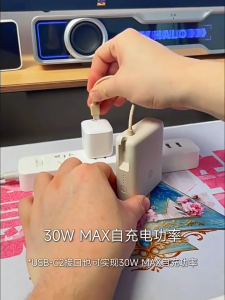 Xiaomi 33W Power Bank 10000 (Integrated Cable) | 33W Fast Charging | Built-in USB-C Cable