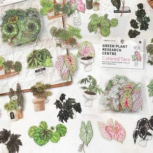 Sticker trang trí chủ đề thực vật lá nhỏ tươi trong chậu [ 171 ]