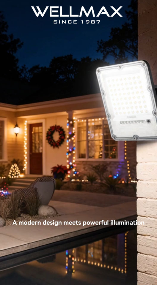 WELLMAX Solar Light Outdoor Waterproof Flood Light With Solar Panel & Remote 6500K Daylight Guardian Series Floodlight