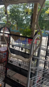 ไม้แขวนชุดว่ายน้ำ(เด็ก) สีขาว พร้อมส่ง ได้ทั้งวันพีสและทรูพรีส ถูกมากๆ