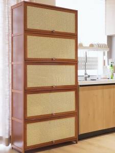 MOLORE | Tủ Lưu Trữ Chống Bụi Đa Năng Có Cửa