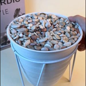 Sampai7an PBP57 / Pot Bunga Gantung Tempel Dinding Bahan Plastik Rotan Dekorasi Unik Vas Tanaman Hias Artificial Import / COD