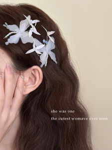 ผีเสื้อ กิ๊บติดผม ผู้หญิง ใหม่ 2024 High-endด้านข้างbangs Duckbillคลิปอุปกรณ์เสริมผมultra-fairy Hairการ์ดคลิปheadwear