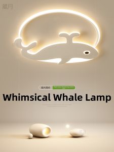 Cartoon Creative Full Spectrum LED Ceiling Light For Childrens Bedrooms