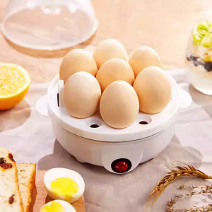 KuoLi | Multifunctional Electric Egg Boiler 220V