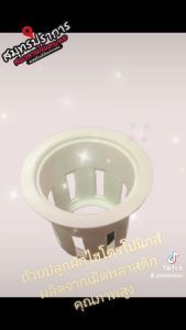 ถ้วยปลูกผักไฮโดโปรนิกส์ แบบใช้ซ้ำ สีขาว เกรดA คุณภาพสูง ชุด 100 ใบ