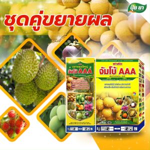 ขยายผลใหญ่ ทุเรียน 60 วัน ทรงสวย พูเต็ม สร้างเนื้อ เข้าสี ฮอร์โมนพืช ปุ๋ยเกล็ด ปุ๋ยยา 1 ลิตร + 3 กก.